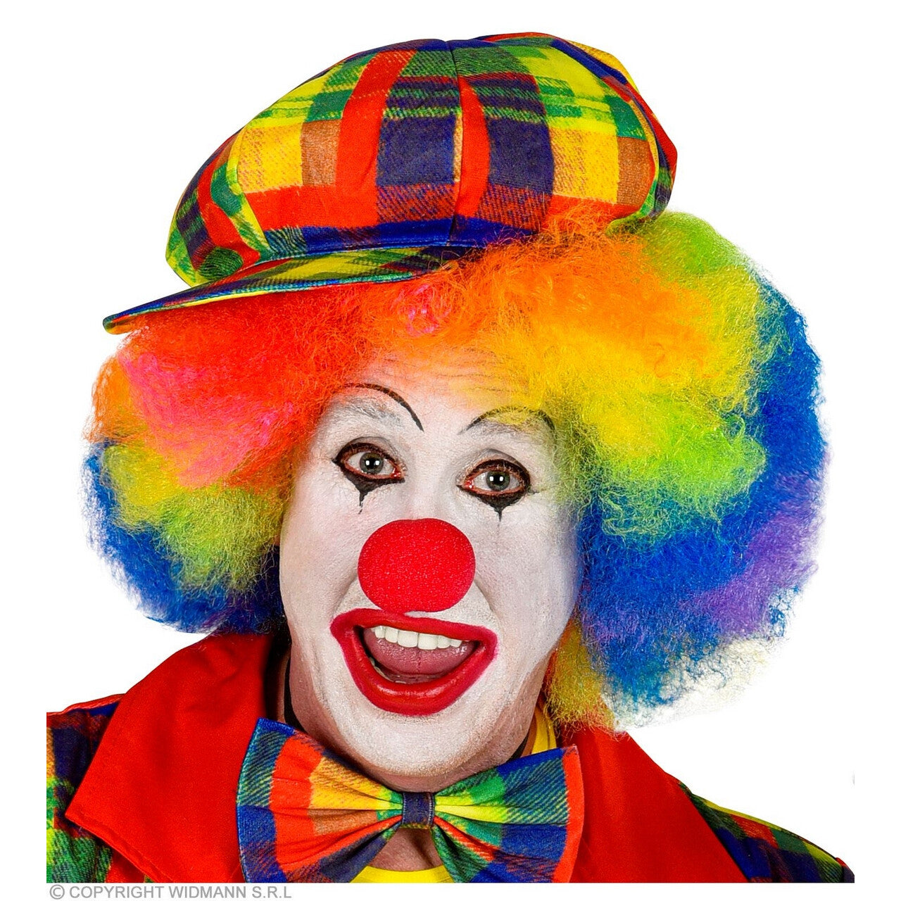 Op deze afbeelding zie je een Accessoires, van het merk Widmann. Vet Kleurige Pet Clown Geblokt