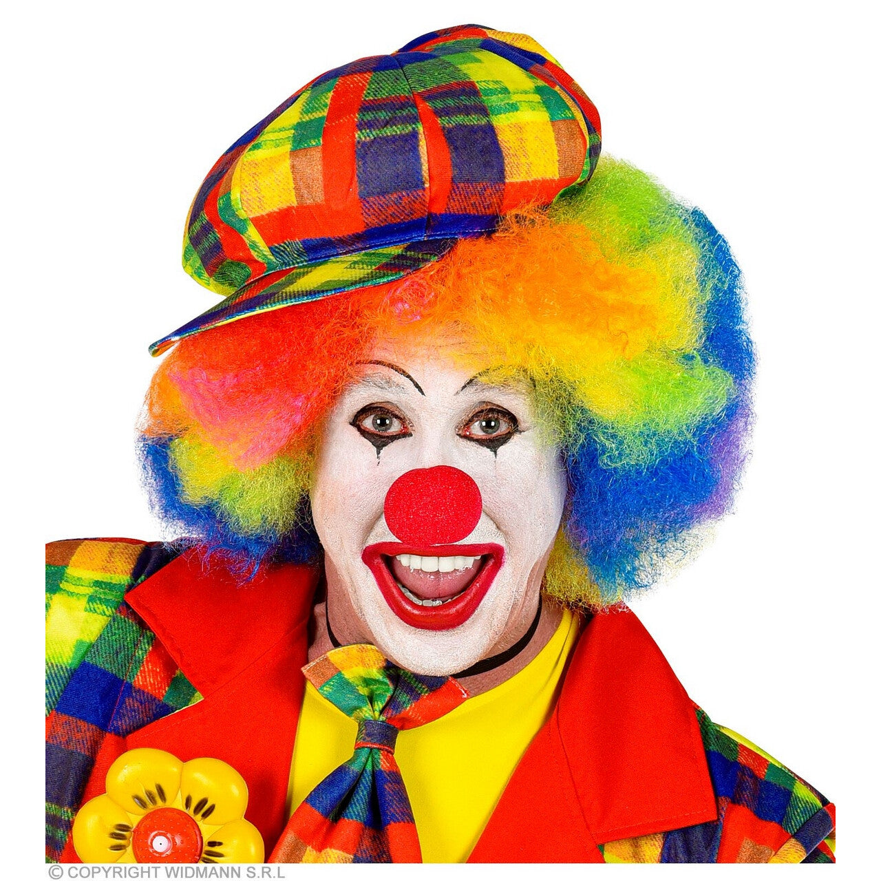 Op deze afbeelding zie je een Accessoires, van het merk Widmann. Vet Kleurige Pet Clown Geblokt